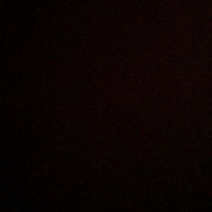 Meet your Posher, Lou